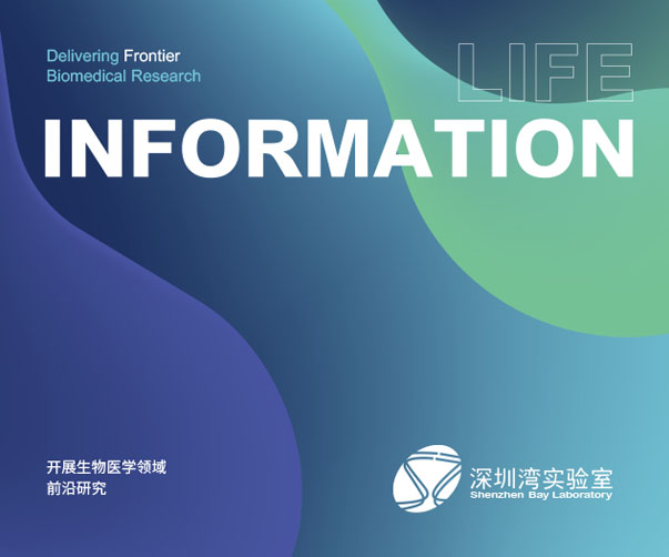 快餐品牌VI設(shè)計要求_提升品牌形象_傳達(dá)快捷、美味與卓越服務(wù)